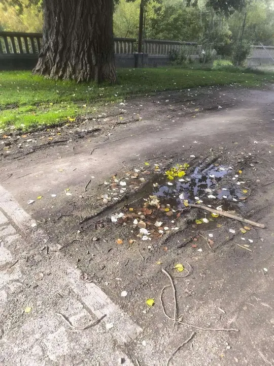Estado del paseo del Bernesga en el margen derecho, con zonas valladas y deterioro visible.