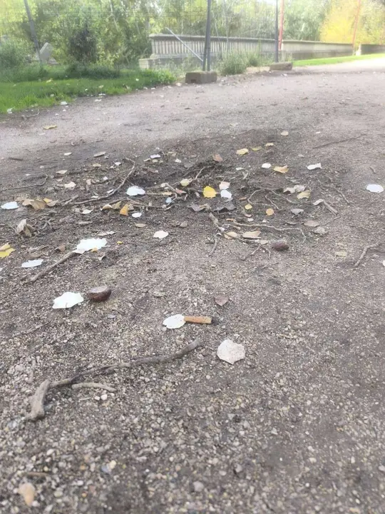 Estado del paseo del Bernesga en el margen derecho, con zonas valladas y deterioro visible.