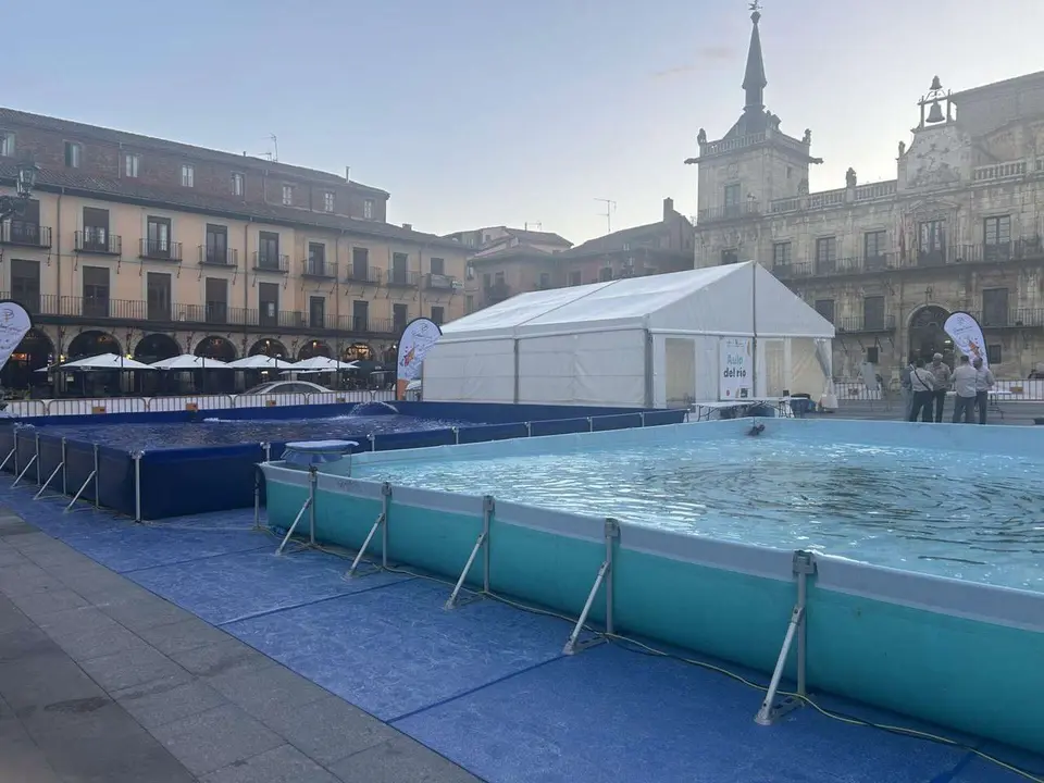 La Feria Destino Pesca instala unas piscinas en la Plaza Mayor de Le&oacute;n. 