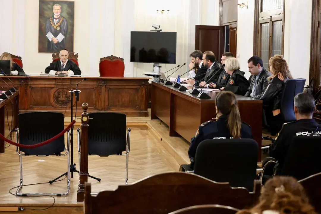 La Audiencia Provincial de Le&oacute;n acoge la primera sesi&oacute;n del juicio contra A.R.T.S., al que se le acusa de los delitos de asesinato y amenazas en el &aacute;mbito familiar por presuntamente haber matado a su madre durante la navidad de 2022