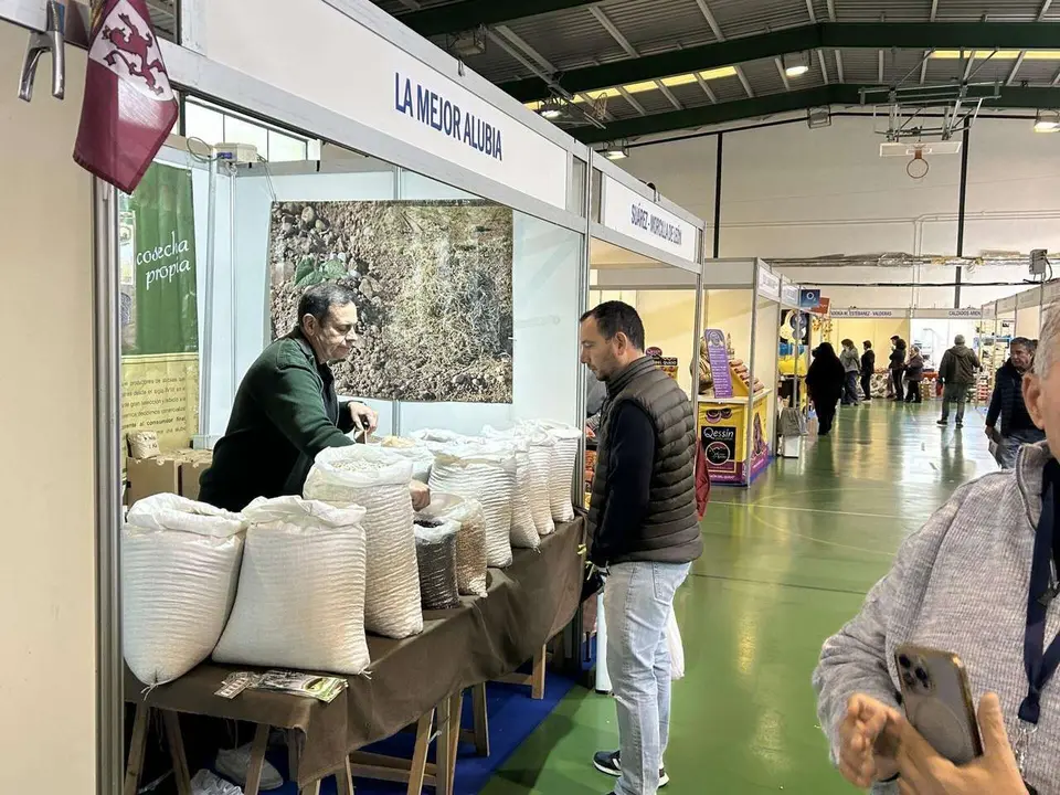 Ambiente en Sahag&uacute;n durante la 52&ordf; Feria de San Sim&oacute;n. Le&oacute;n 24 horas.