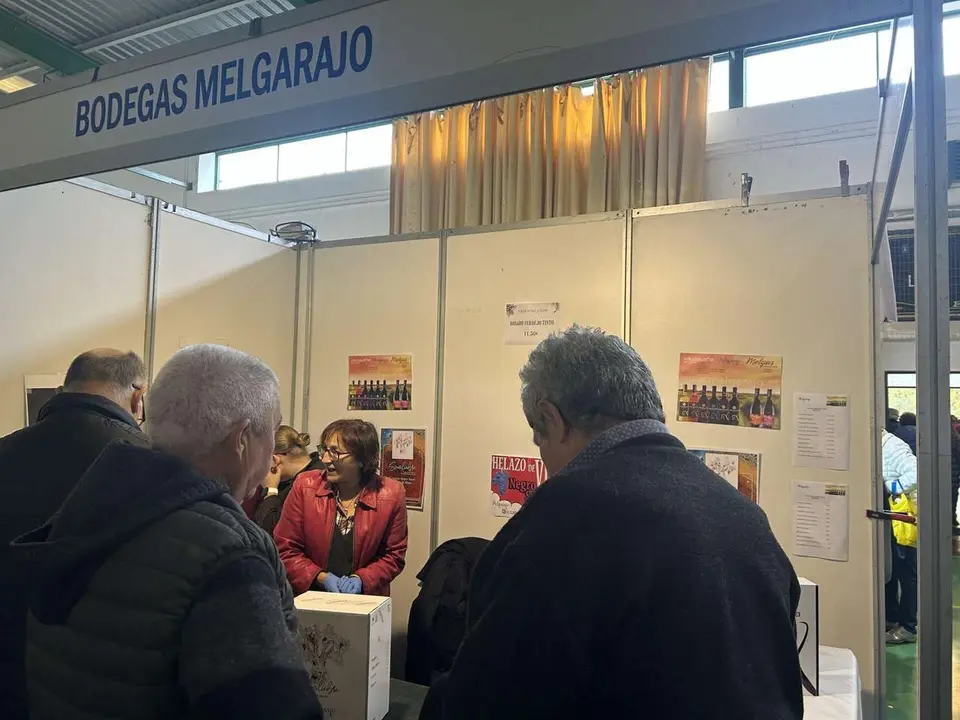 Ambiente en Sahag&uacute;n durante la 52&ordf; Feria de San Sim&oacute;n. Le&oacute;n 24 horas.
