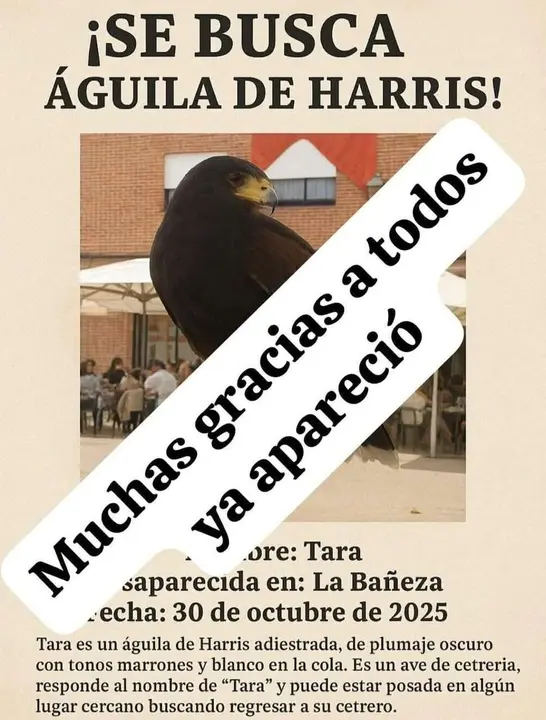 Cartel difundido por la familia anunciando que Tara apareci&oacute;.