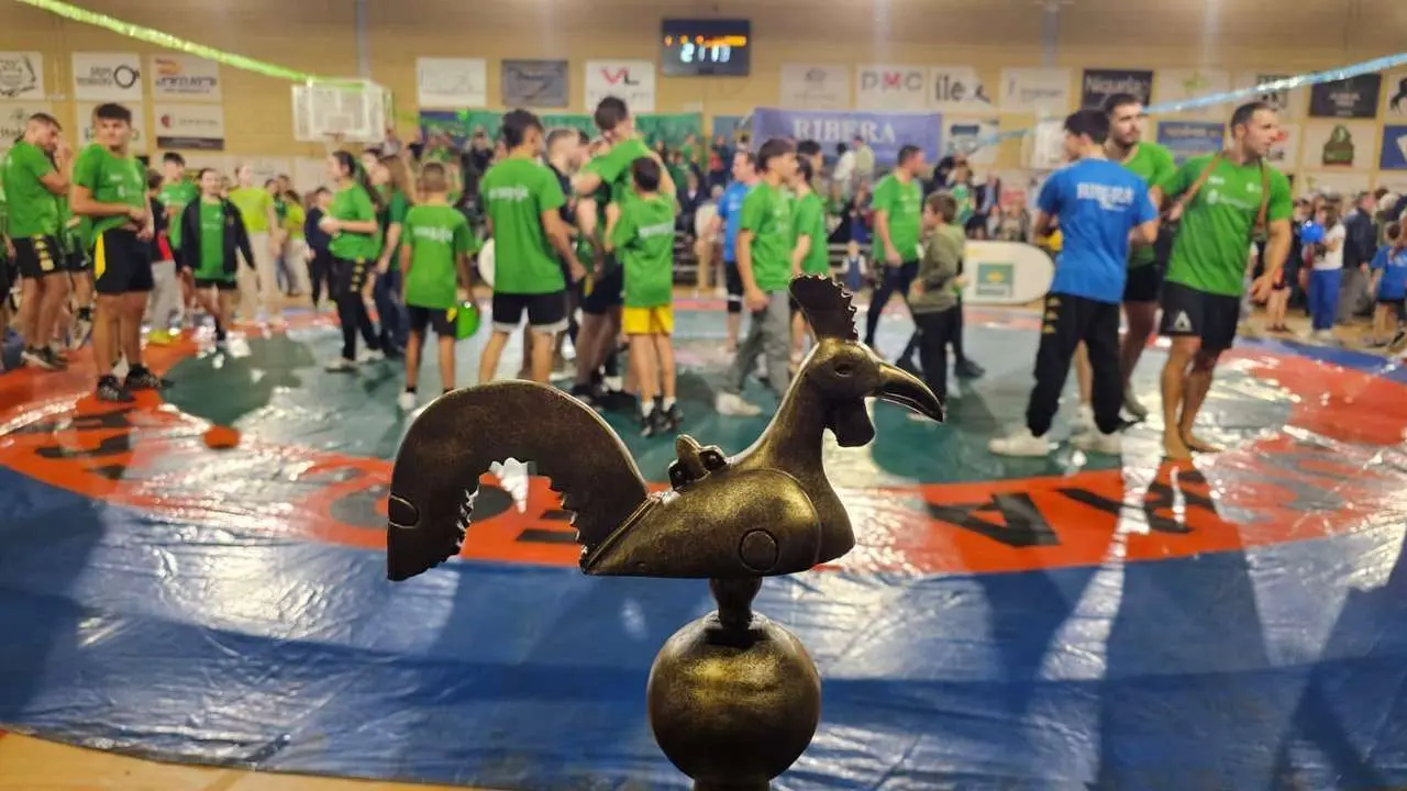 Ambiente, celebraci&oacute;n y entrega de premios en el corro de Sariegos | Le&oacute;n 24 Horas