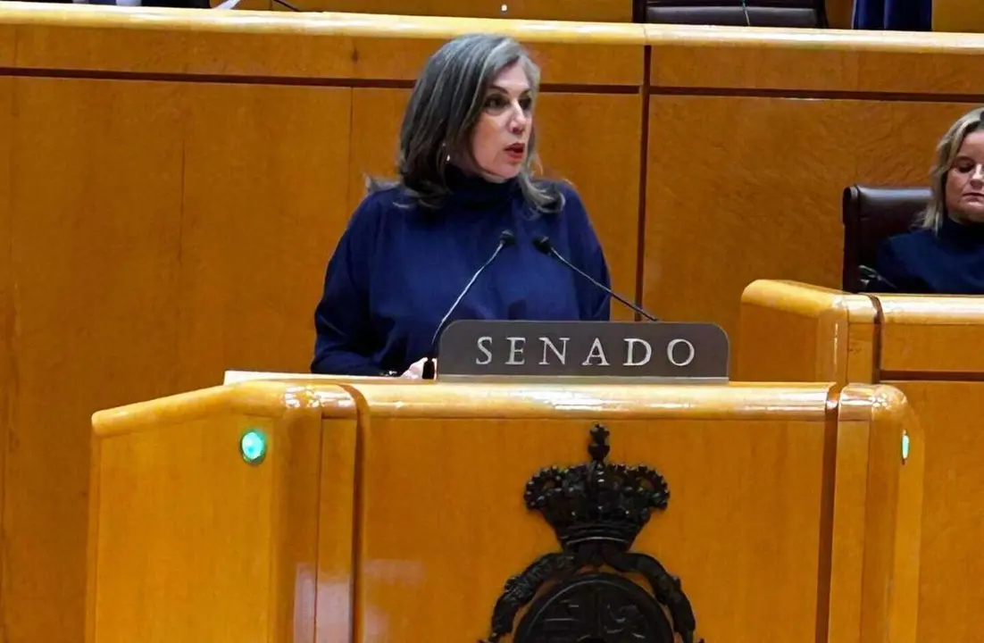 La senadora por Le&oacute;n Asunci&oacute;n Mayo (PP).