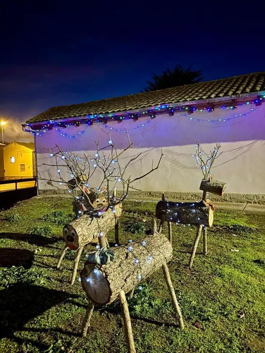 Ambiente del mercadillo y del alumbrado navide&ntilde;o de Villaverde la Chiquita. Minipinche _fotografias