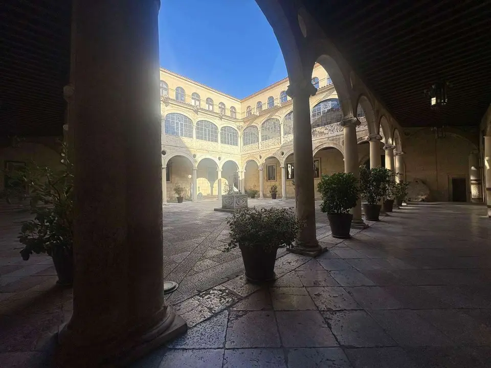 Palacio de los Guzmanes, sede de la Diputaci&oacute;n de Le&oacute;n. | LE&Oacute;N24HORAS