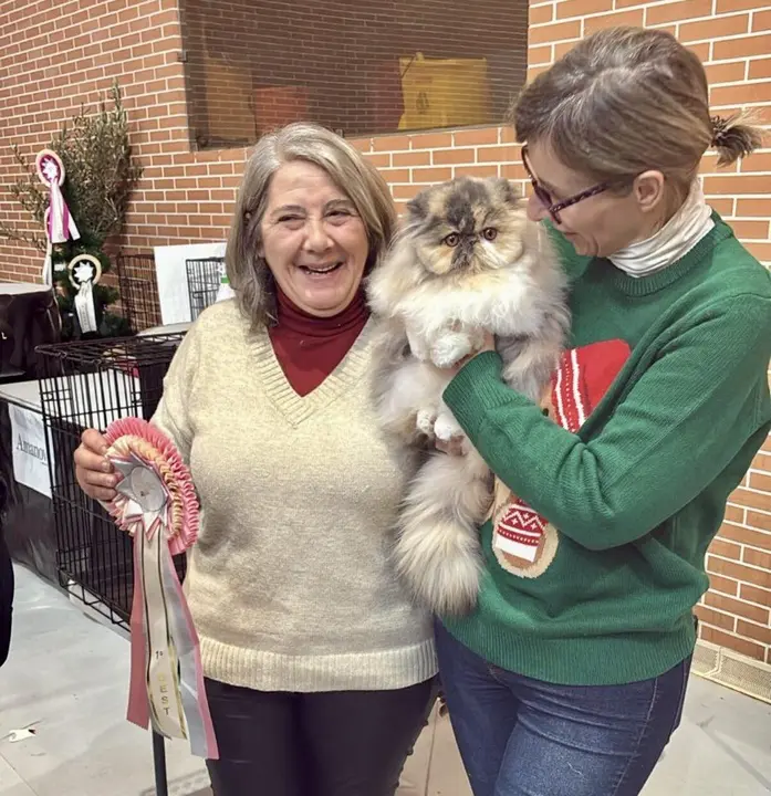 Exposici&oacute;n Internacional Felina. Ayuntamiento de San Andr&eacute;s del Rabanedo.