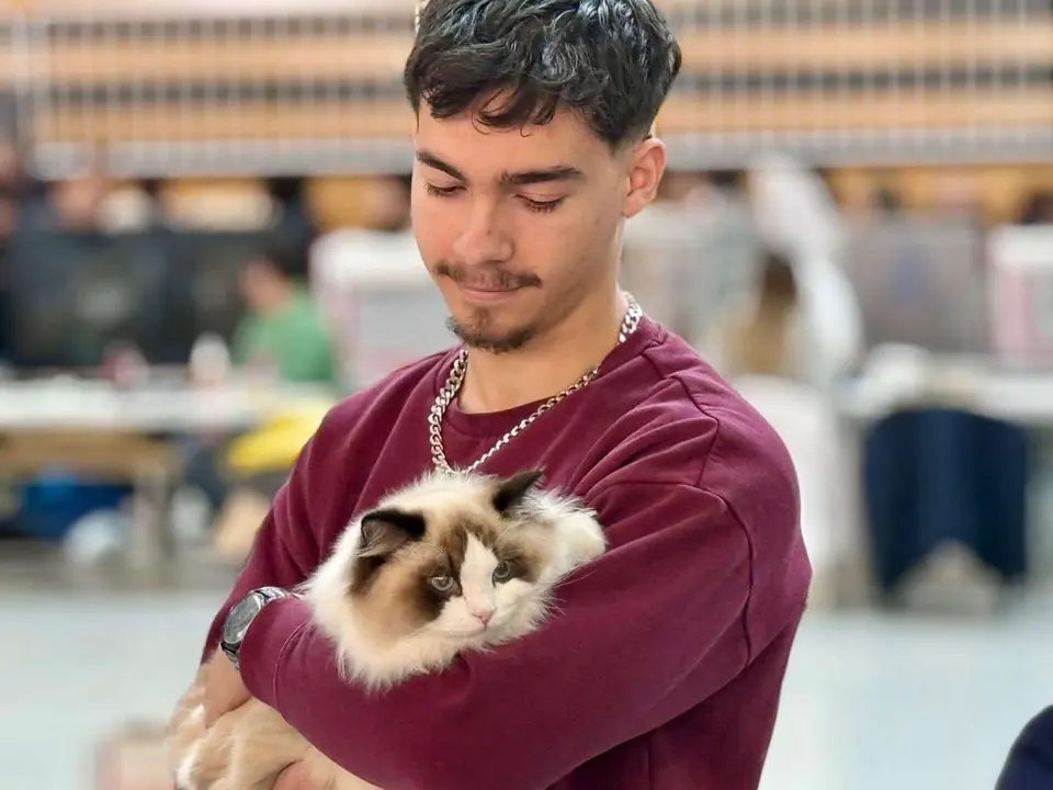 Exposici&oacute;n Felina Internacional. Ayuntamiento de San Andr&eacute;s del Rabanedo.
