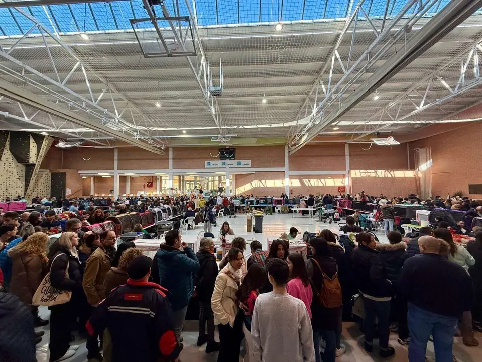 Exposici&oacute;n Felina Internacional. Ayuntamiento de San Andr&eacute;s del Rabanedo.