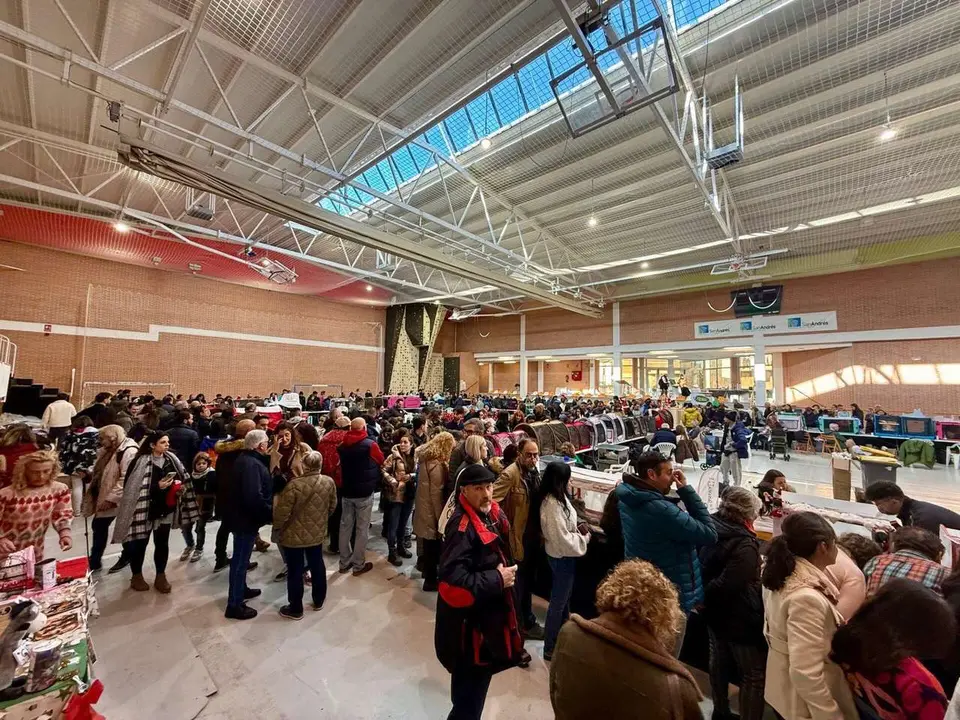 Exposici&oacute;n Felina Internacional. Ayuntamiento de San Andr&eacute;s del Rabanedo.
