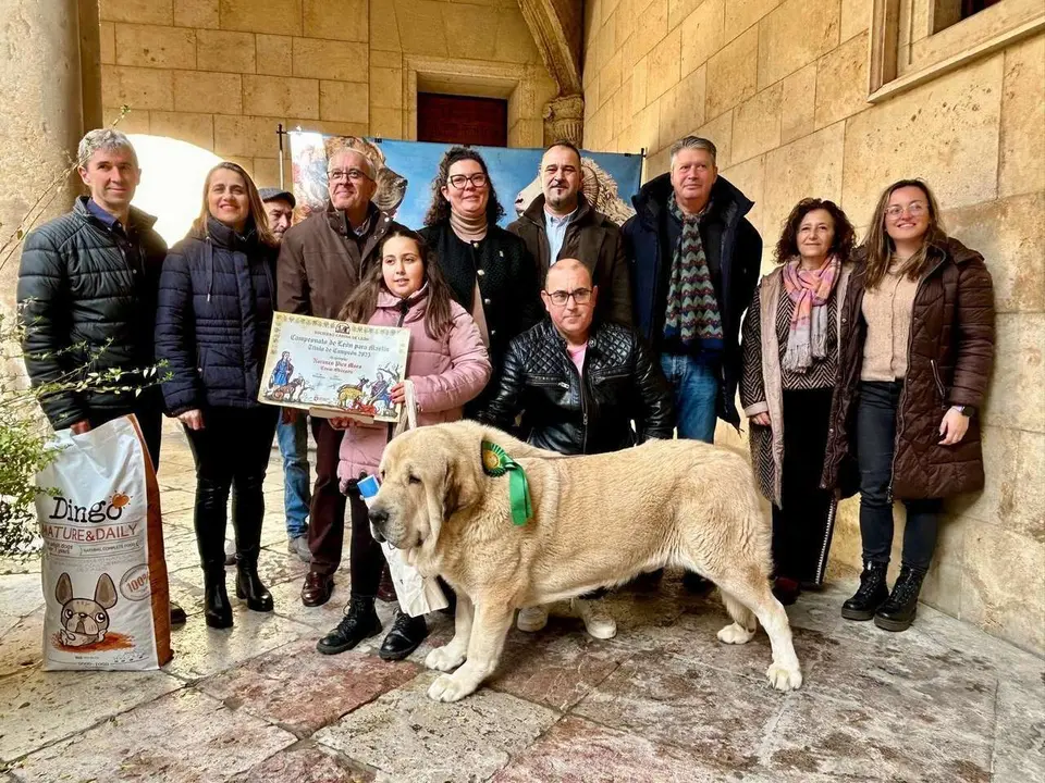 Entrega de premios del Campeonato Provincial de Mast&iacute;n en el Palacio de los Guzmanes. Diputaci&oacute;n de Le&oacute;n.