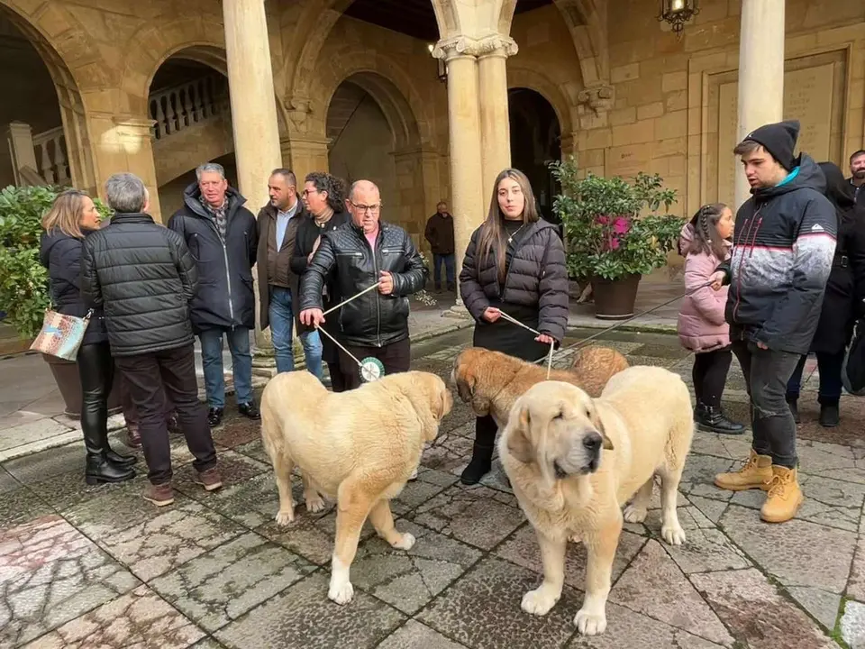 Entrega de premios del Campeonato Provincial de Mast&iacute;n en el Palacio de los Guzmanes. Diputaci&oacute;n de Le&oacute;n.