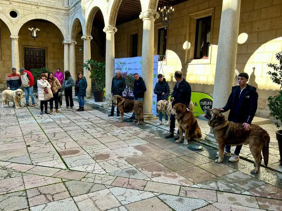 Entrega de premios del Campeonato Provincial de Mast&iacute;n en el Palacio de los Guzmanes. Diputaci&oacute;n de Le&oacute;n.