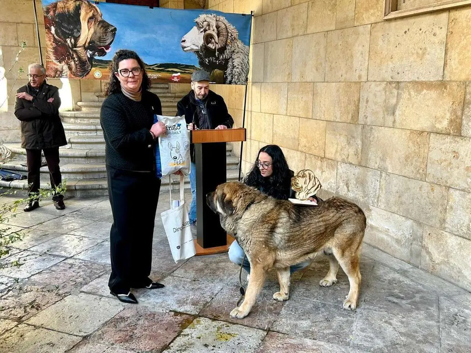 Entrega de premios del Campeonato Provincial de Mast&iacute;n en el Palacio de los Guzmanes. Diputaci&oacute;n de Le&oacute;n.
