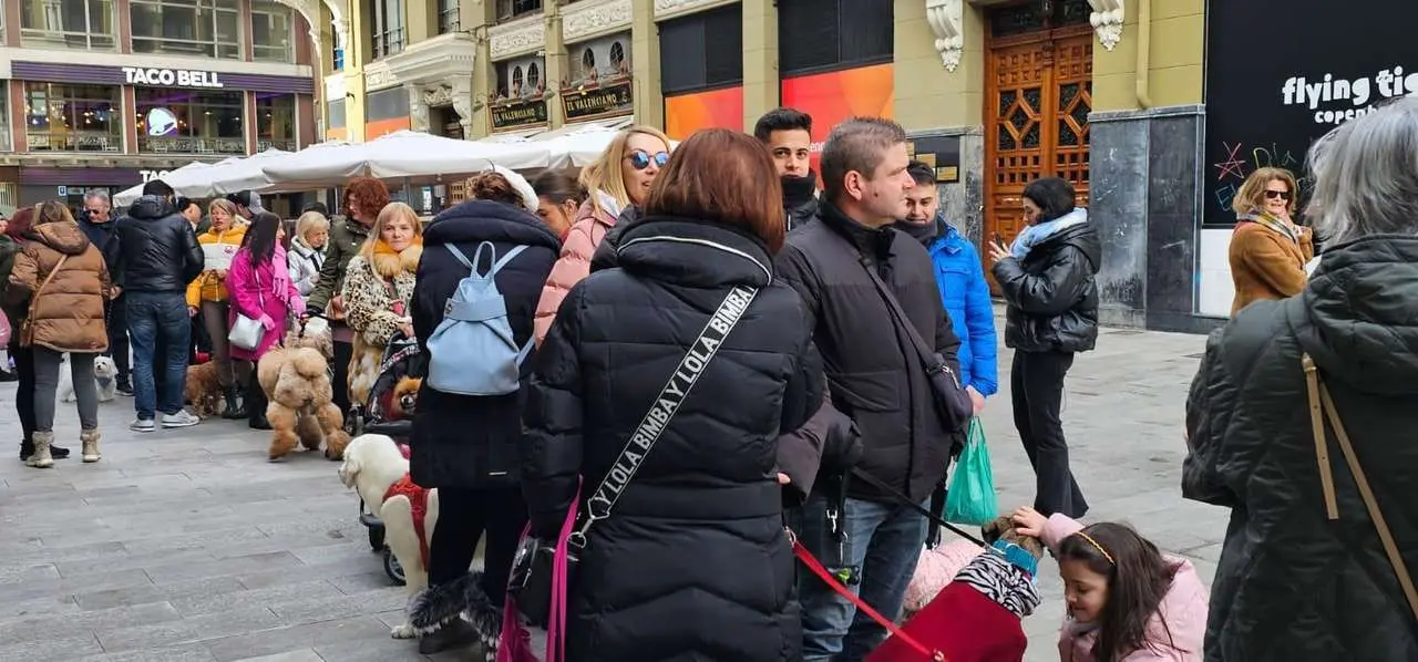 Bendici&oacute;n de mascotas por San Ant&oacute;n en el entorno de San Marcelo, este domingo en el centro de Le&oacute;n. Foto: Le&oacute;n 24 Horas