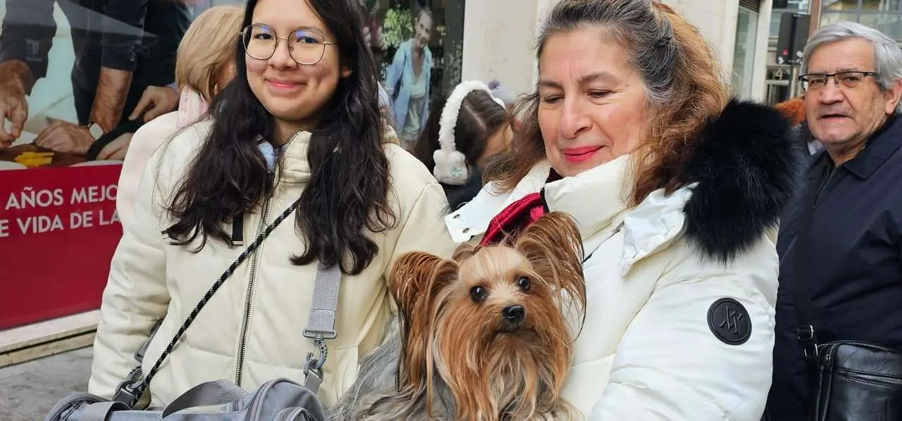 Bendici&oacute;n de mascotas por San Ant&oacute;n en el entorno de San Marcelo, este domingo en el centro de Le&oacute;n. Foto: Le&oacute;n 24 Horas