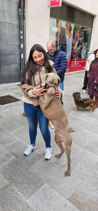 Bendici&oacute;n de mascotas por San Ant&oacute;n en el entorno de San Marcelo, este domingo en el centro de Le&oacute;n. Foto: Le&oacute;n 24 Horas