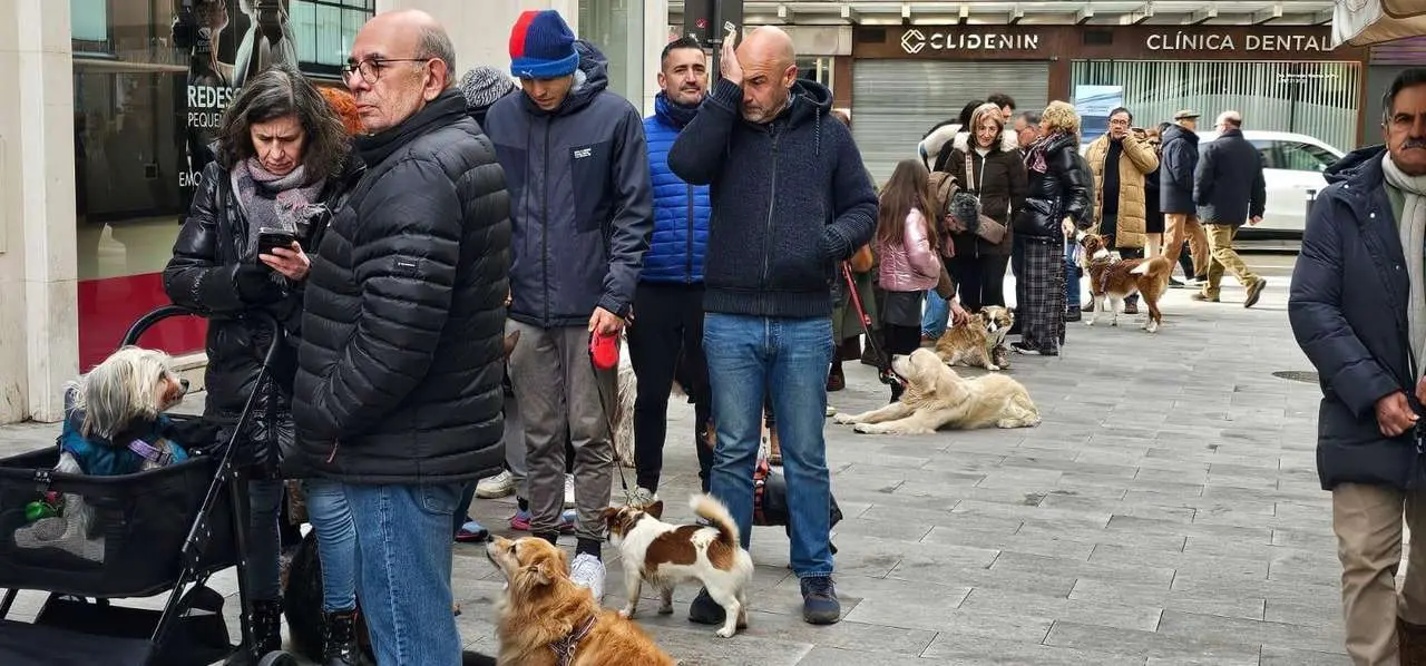 Bendici&oacute;n de mascotas por San Ant&oacute;n en el entorno de San Marcelo, este domingo en el centro de Le&oacute;n. Foto: Le&oacute;n 24 Horas