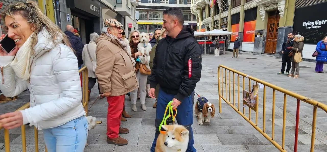 Bendici&oacute;n de mascotas por San Ant&oacute;n en el entorno de San Marcelo, este domingo en el centro de Le&oacute;n. Foto: Le&oacute;n 24 Horas