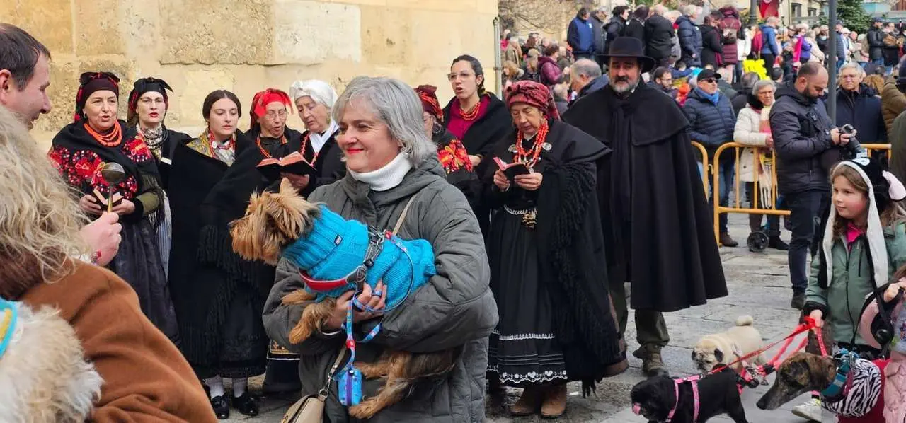 Bendici&oacute;n de mascotas por San Ant&oacute;n en el entorno de San Marcelo, este domingo en el centro de Le&oacute;n. Foto: Le&oacute;n 24 Horas