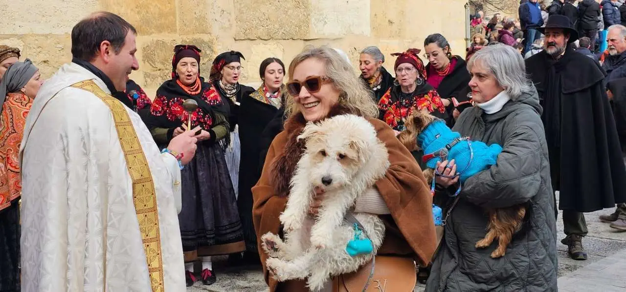 Bendici&oacute;n de mascotas por San Ant&oacute;n en el entorno de San Marcelo, este domingo en el centro de Le&oacute;n. Foto: Le&oacute;n 24 Horas