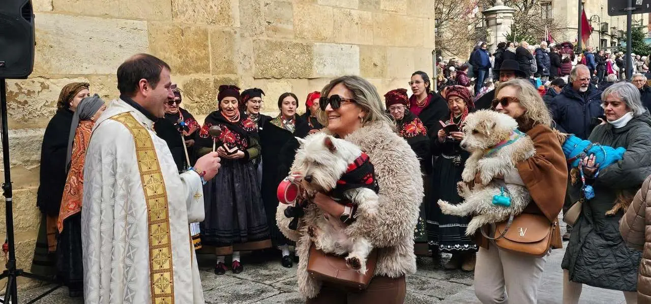 Bendici&oacute;n de mascotas por San Ant&oacute;n en el entorno de San Marcelo, este domingo en el centro de Le&oacute;n. Foto: Le&oacute;n 24 Horas
