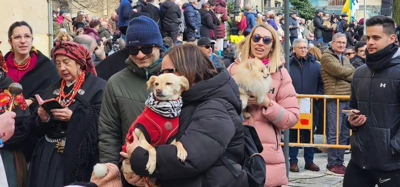 Bendici&oacute;n de mascotas por San Ant&oacute;n en el entorno de San Marcelo, este domingo en el centro de Le&oacute;n. Foto: Le&oacute;n 24 Horas