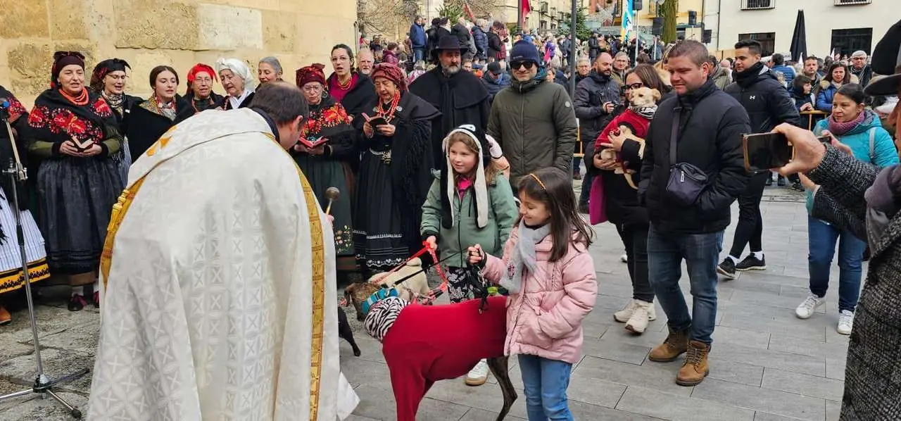 Bendici&oacute;n de mascotas por San Ant&oacute;n en el entorno de San Marcelo, este domingo en el centro de Le&oacute;n. Foto: Le&oacute;n 24 Horas