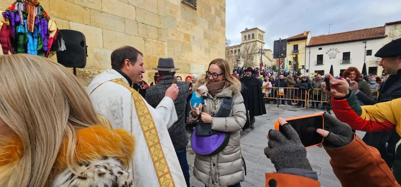 Bendici&oacute;n de mascotas por San Ant&oacute;n en el entorno de San Marcelo, este domingo en el centro de Le&oacute;n. Foto: Le&oacute;n 24 Horas