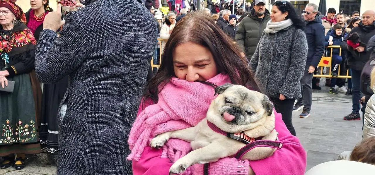 Bendici&oacute;n de mascotas por San Ant&oacute;n en el entorno de San Marcelo, este domingo en el centro de Le&oacute;n. Foto: Le&oacute;n 24 Horas