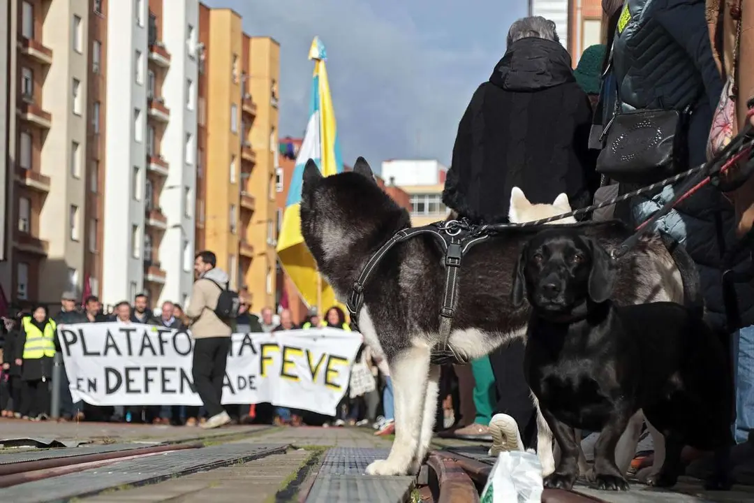 La Plataforma en Defensa del Ferrocarril de V&iacute;a Estrecha (Feve) de Le&oacute;n convoca cada s&aacute;bado una manifestaci&oacute;n simb&oacute;lica para reclamar que no se entierre el trazado. | ICAL.