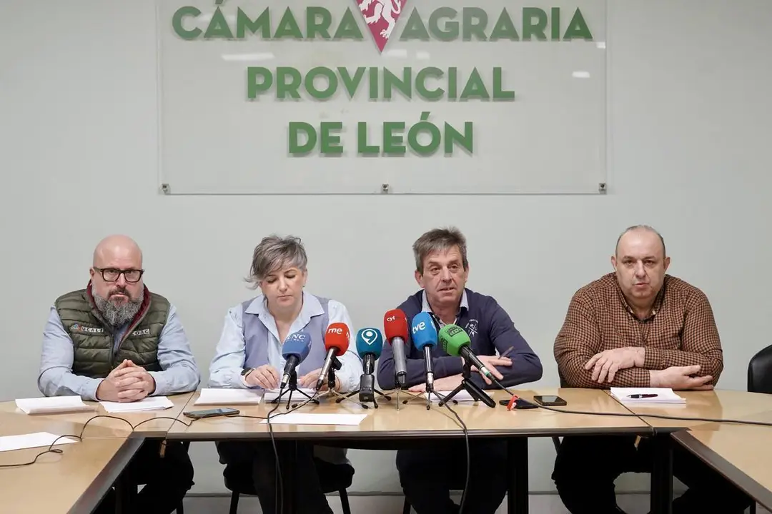 Las cuatro organizaciones agrarias de la provincia de Le&oacute;n -Ugal-Upa, Asaja, Ucale-Coag y UCCL- informan sobre las nuevas movilizaciones. | ICAL