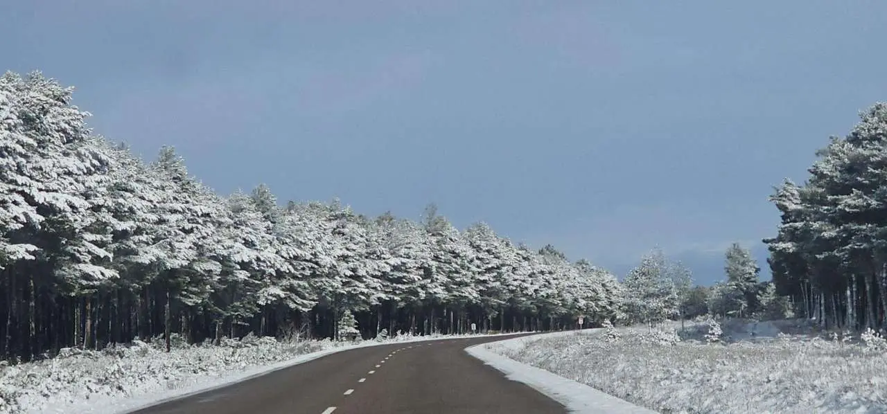 Fotos de este s&aacute;bado, 24 de enero de 2026. Le&oacute;n 24 Horas.