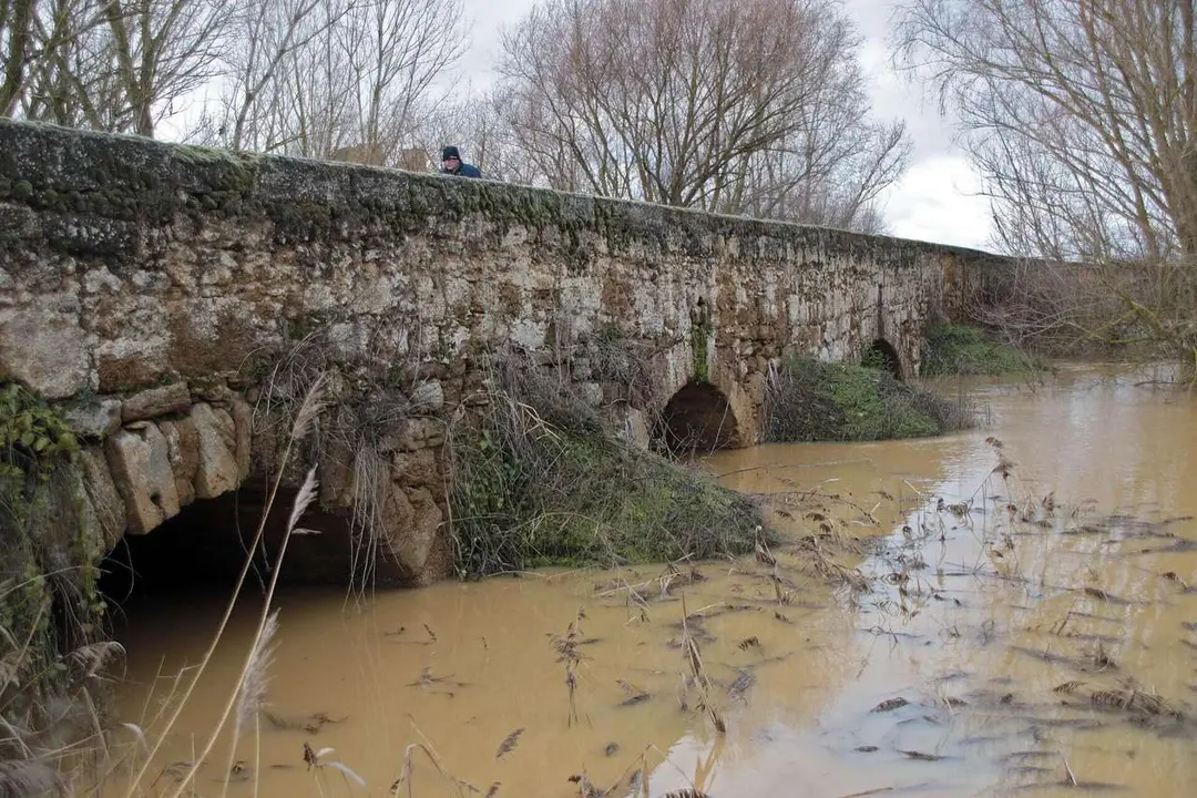 El r&iacute;o Cea desborda por Valderas (Le&oacute;n) - Peio  Garc&iacute;a