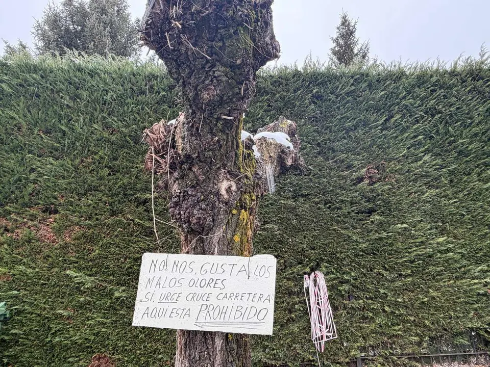 SM