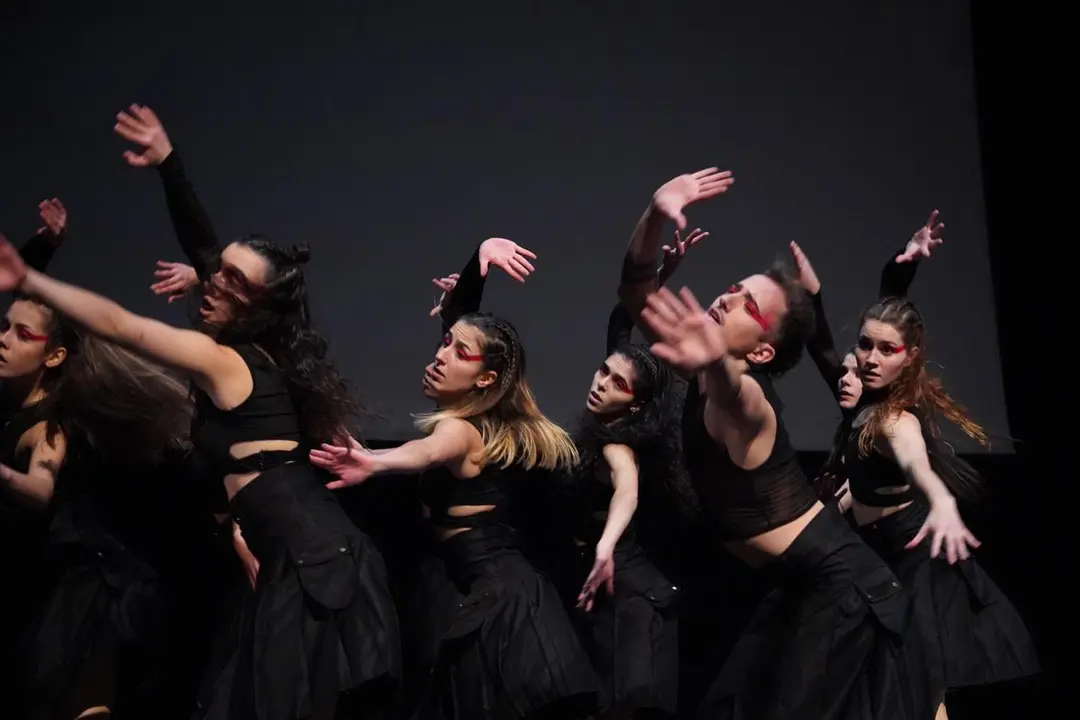 Actuaci&oacute;n de una escuela profesional de danza en Burgos. | ICAL