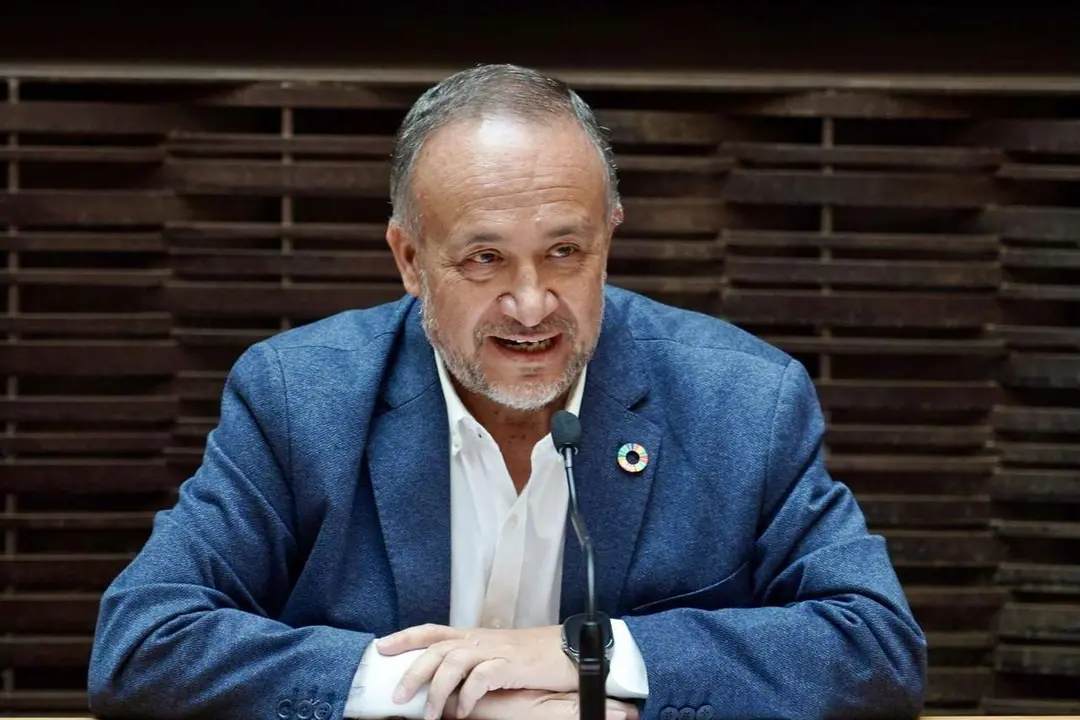 El presidente de la Diputaci&oacute;n de Le&oacute;n, Gerardo &Aacute;lvarez Courel