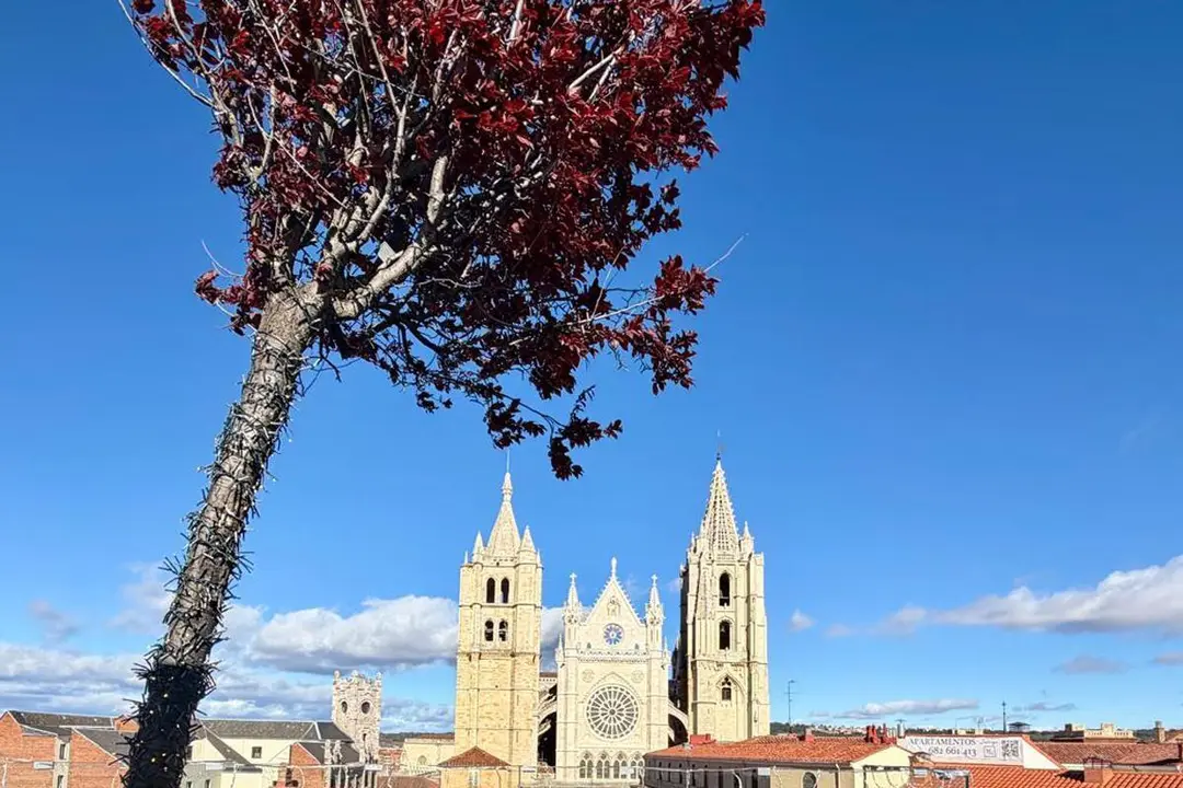 La Catedral de Le&oacute;n desde la terraza del hotel Camarote. | SM