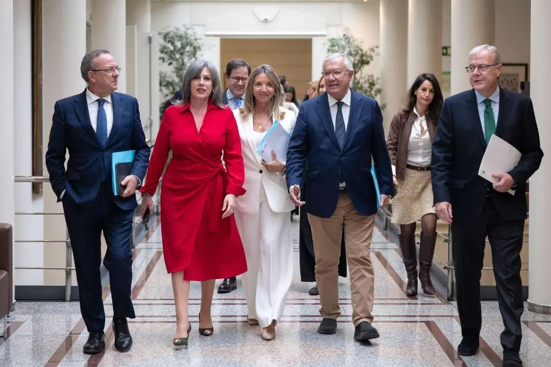 Senadores del Partido Popular, entre ellos los leoneses Asunci&oacute;n Mayo y Antonio Silv&aacute;n. | PP