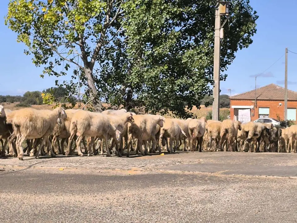 Le&oacute;n24horas
