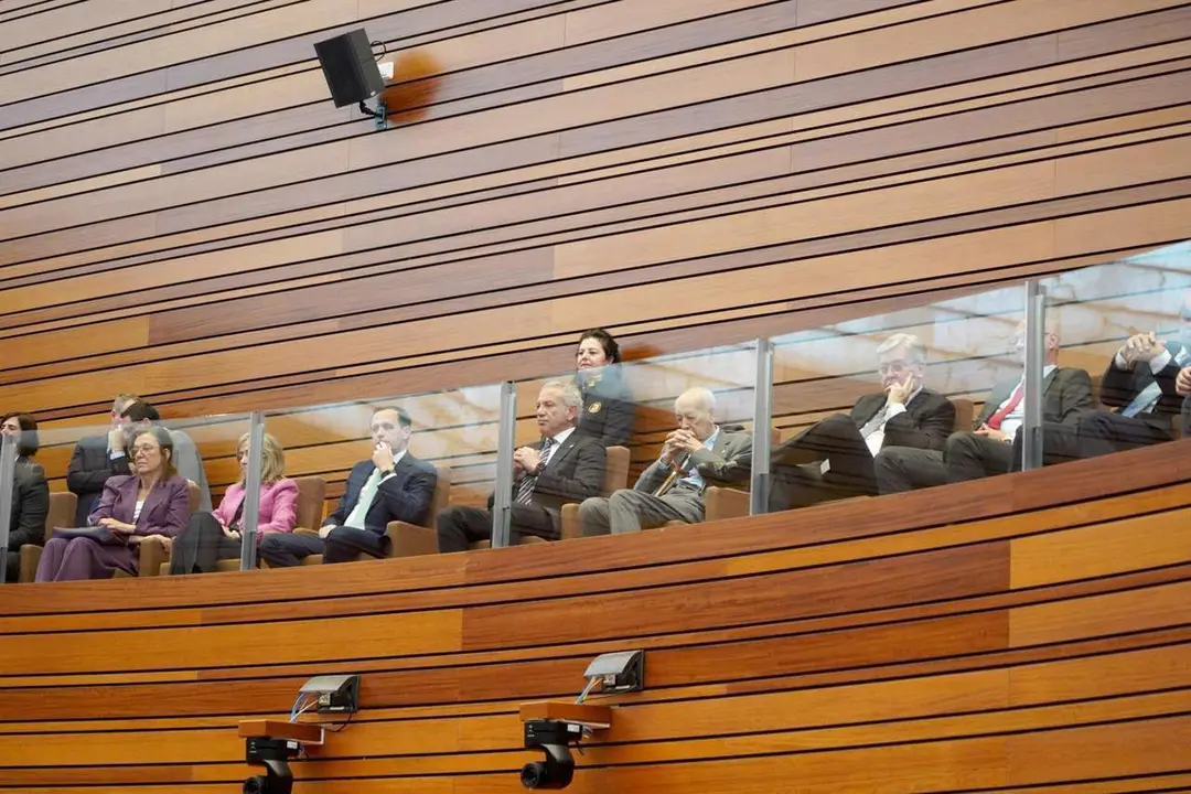 Sesi&oacute;n constitutiva de las Cortes de Castilla y Le&oacute;n de la XII Legislatura. Leticia P&eacute;rez. 