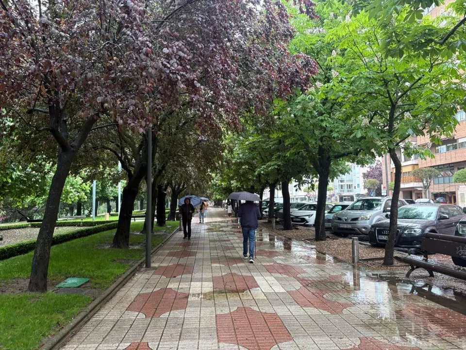 Le&oacute;n24horas