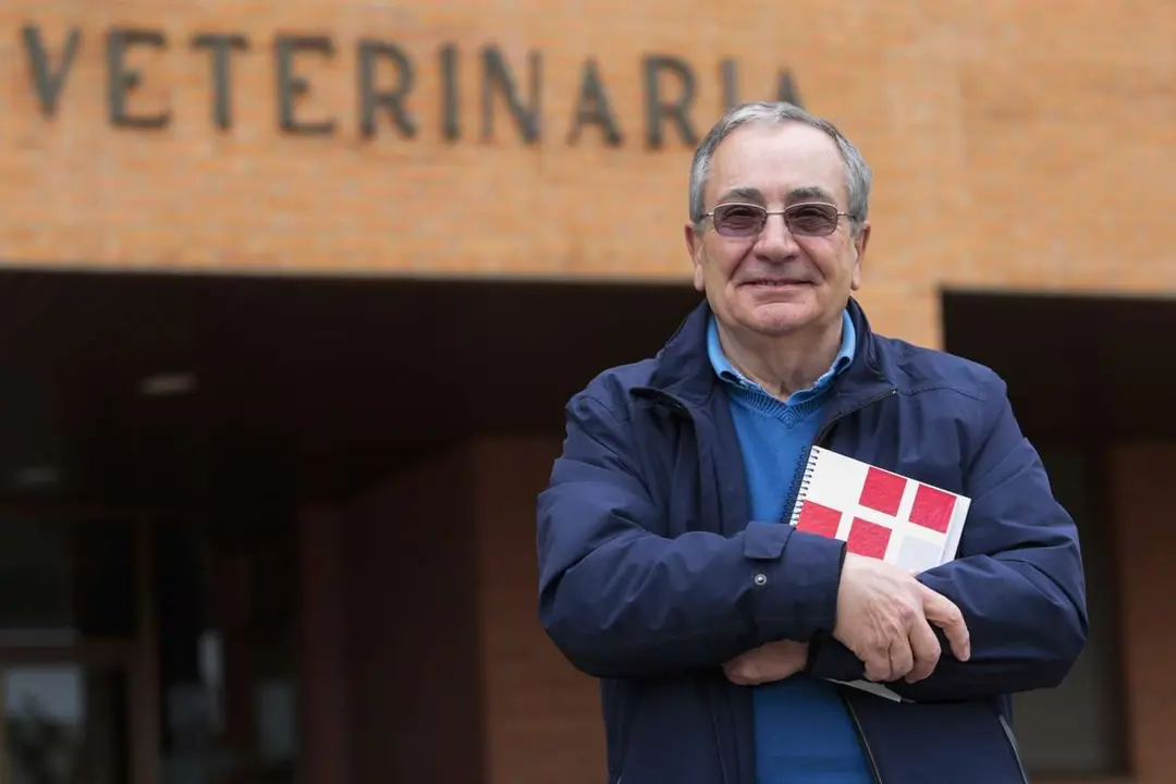 Fernando Rodr&iacute;guez Ferri -  Campillo ICAL