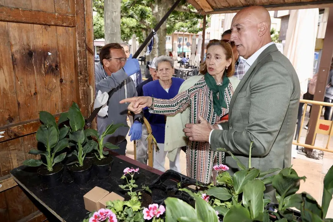 Reparto de plantas para celebrar el D&iacute;a Mundial del Medio Ambiente