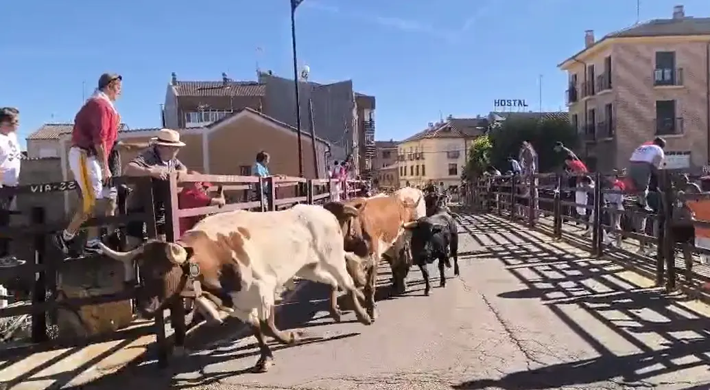 Le&oacute;n24horas