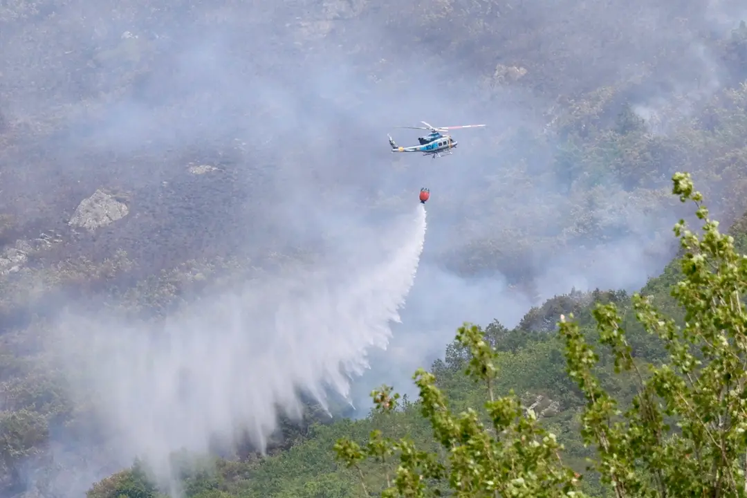 Declarado de nivel 1 un incendio forestal originado esta madrugada en Valdepi&eacute;lago (Le&oacute;n)