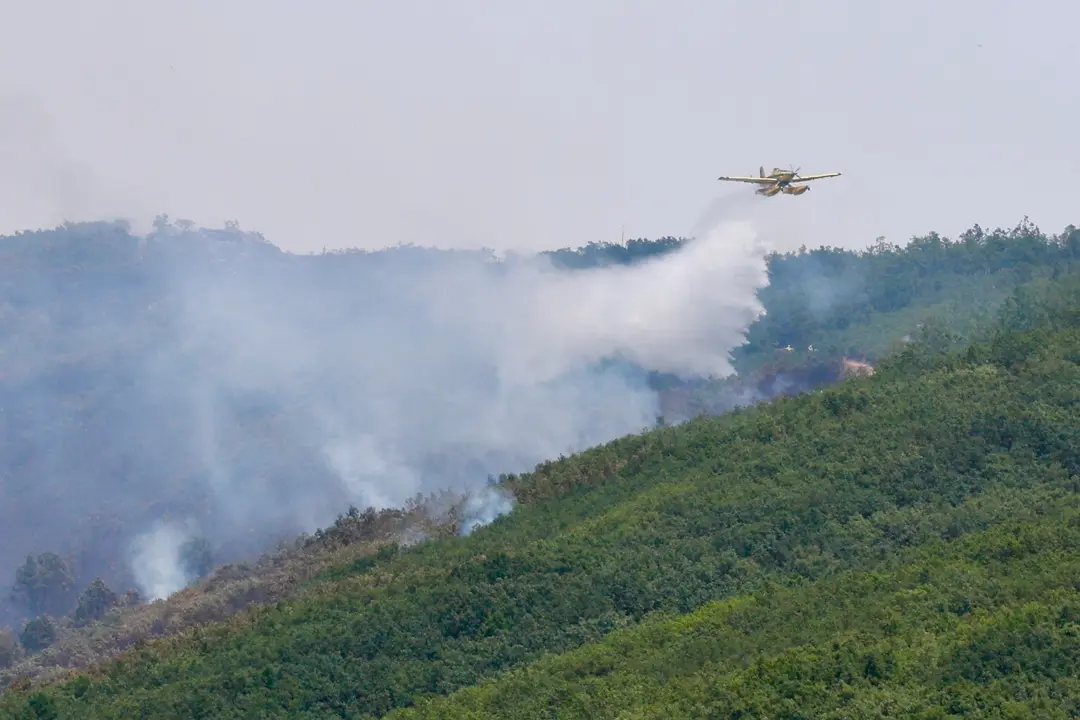 Declarado de nivel 1 un incendio forestal originado esta madrugada en Valdepi&eacute;lago (Le&oacute;n)