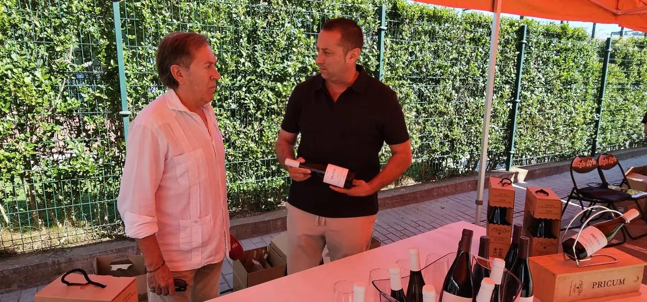 Concentraci&oacute;n de coches cl&aacute;sicos y Feria del Vino y el Queso de Carbajal de la Legua 2026 - Le&oacute;n24horas 14