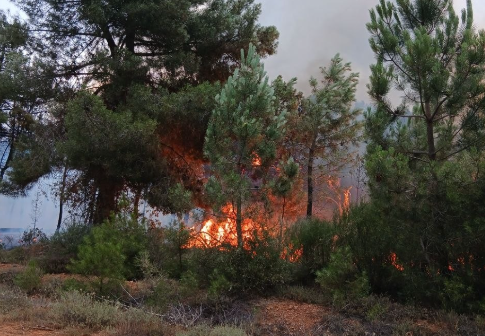 Incendio forestal en Porqueros